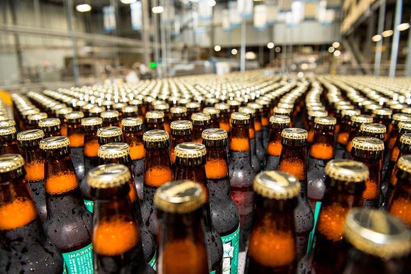 Filled beer bottles on packaging line